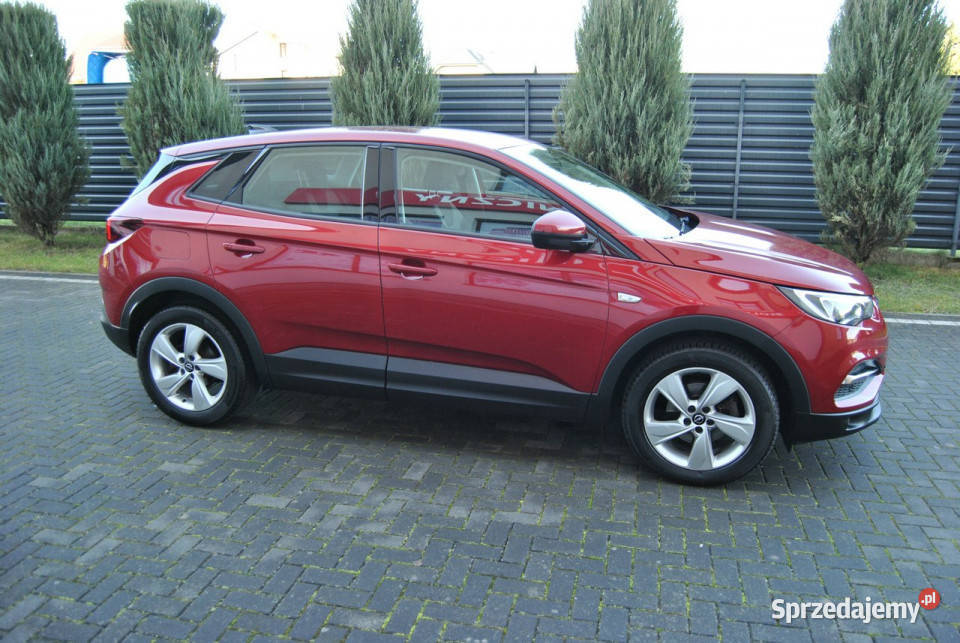 Opel Grandland X Rejestracja ASO Android Auto bluetooth Modliborzyce