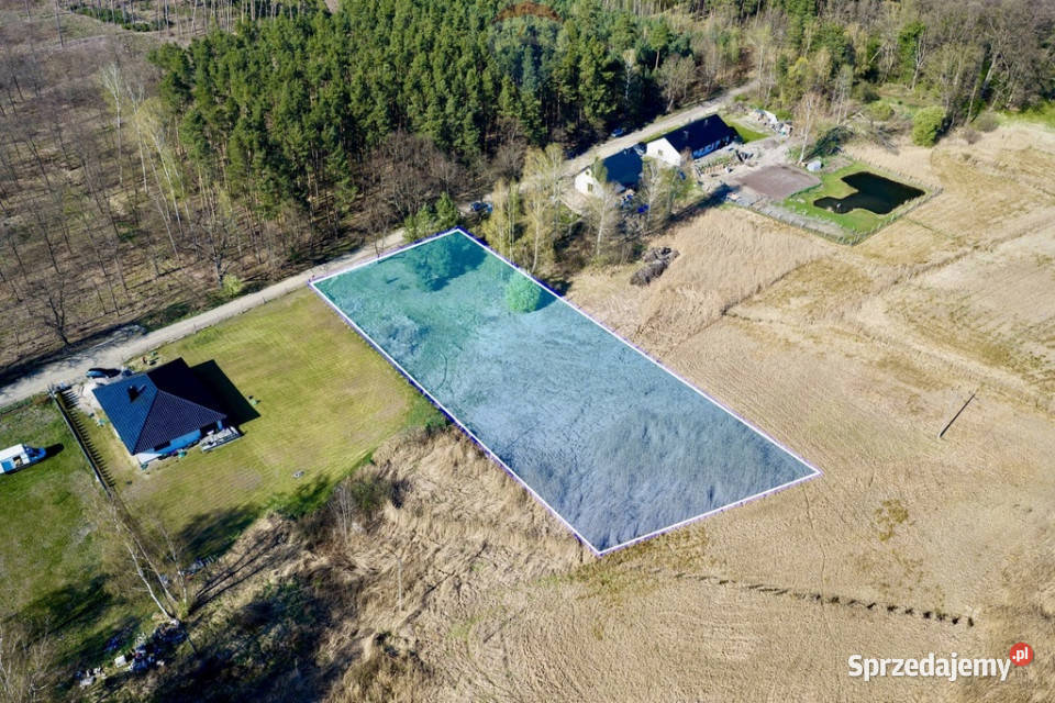 Duża działka z warunkami zabudowy Bobrowice