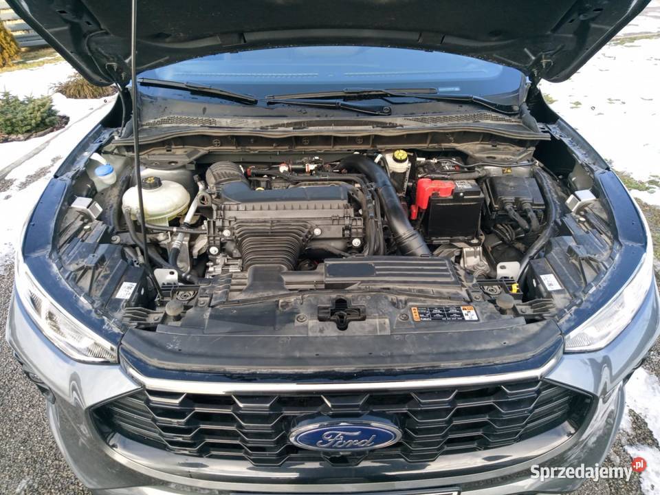 Ford Escppe Mk4 Lift St Line Elite podkarpackie Jamy