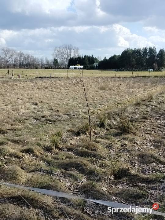 Sprzedam Działkę Budowlaną Skotniki sprzedam
