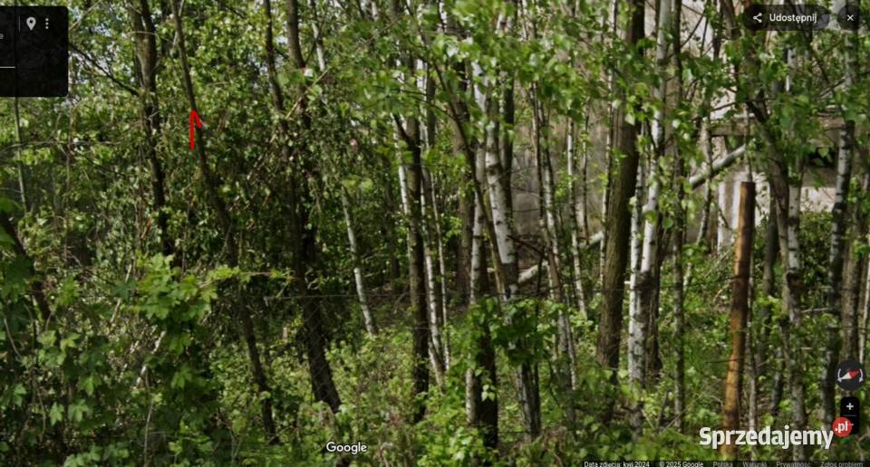 Drewno opałowe liściaste Żarów sprzedam