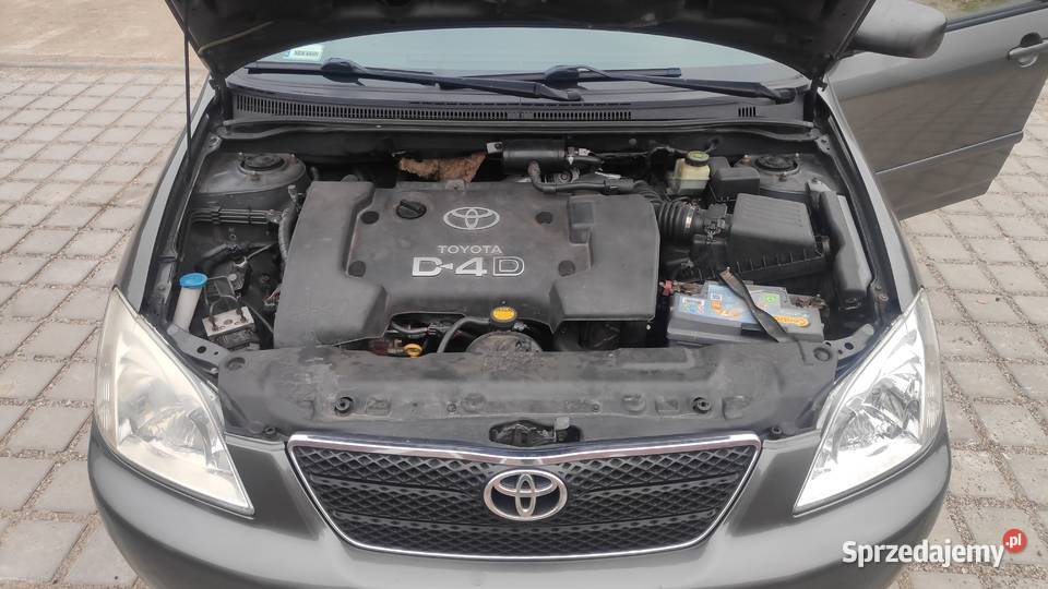 Toyota Corolla E12 20 D4D Tczew