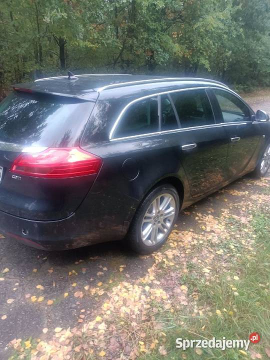 Opel Insignia sports tourer 20 CTDI Końskie