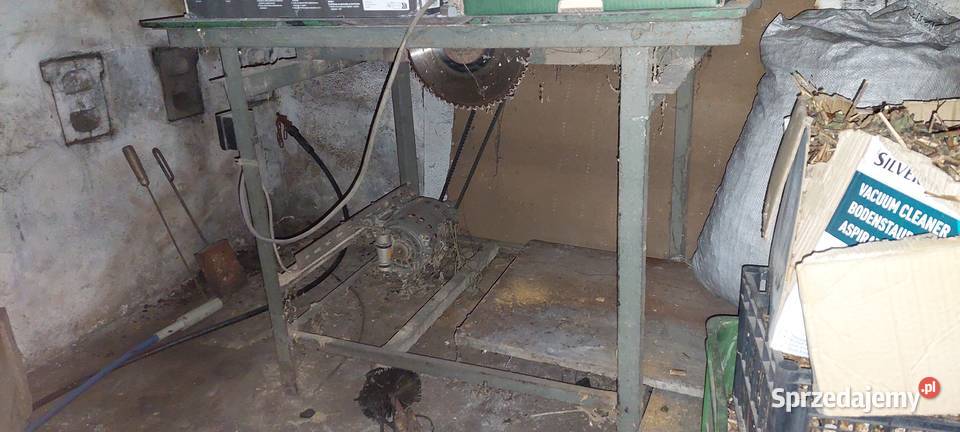 PIŁA STOŁOWA Rydułtowy