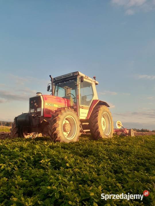 Massey ferguson 3060 Kraśnik