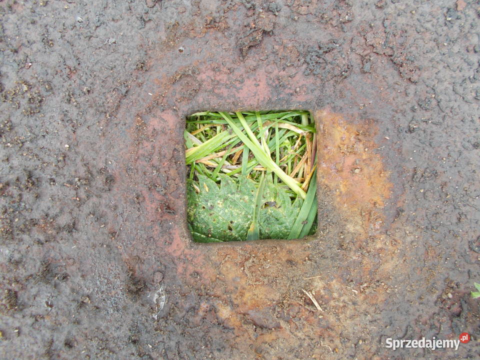 Brona Talerzowa TALERZE PEŁNE 5 opolskie Brzeg