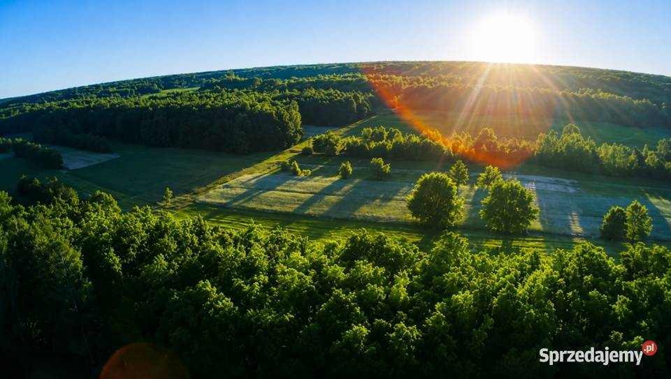 Działka bud 2900 M2 Łukawska Wola WZ ZADRZEWIONA 20m