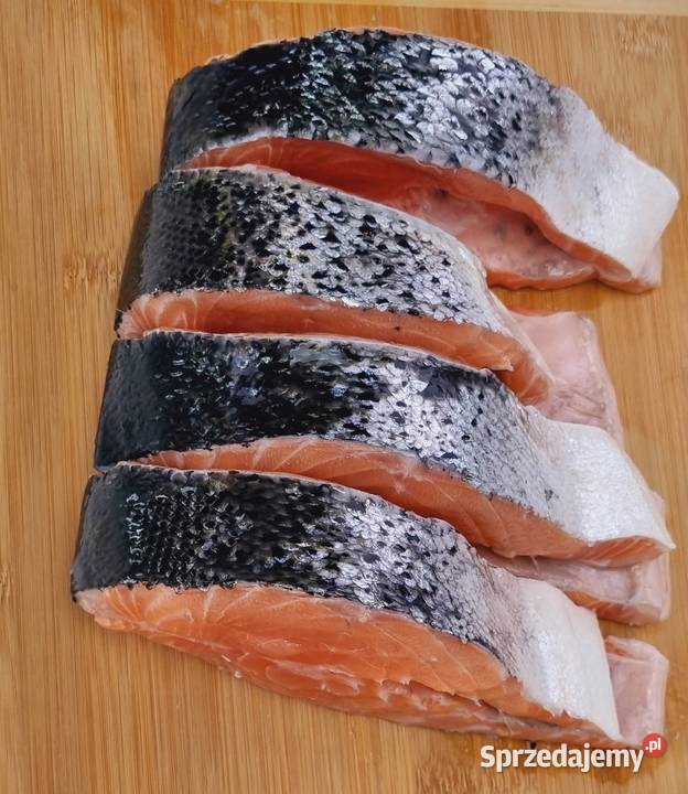 Hak Wędzarniczy Super Smoke do dzwonka ryby 3mm Białystok