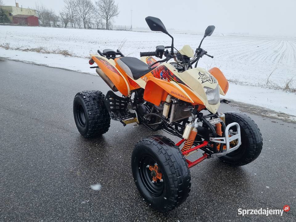 Quad Bashan EGL 250cc Zarejestrowany Kat B Ciecz Rok produkcji 2009 Kruszwica