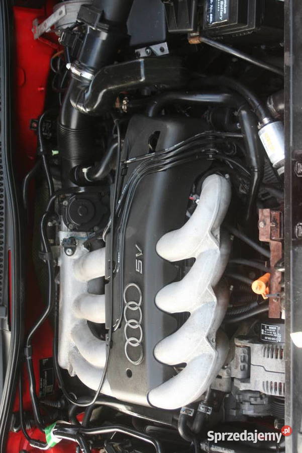 Audi A3 8L 18B LPG 125 MEGA ZADBANA ALU 17 KLIMA A3 podkarpackie Dynów