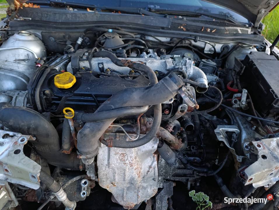 Silnik opel astra H 19 8GV CDTI 2008 Chełmno