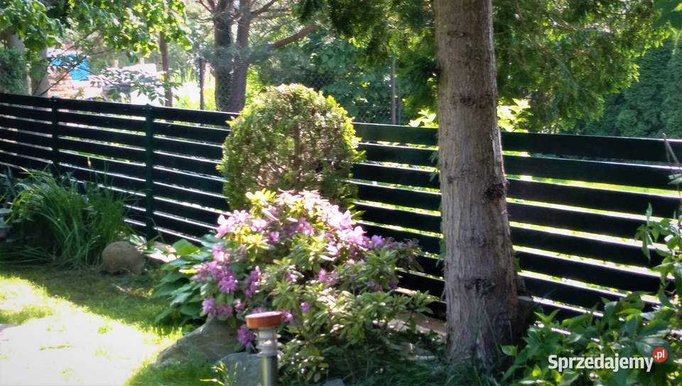 Drewniane ogrodzenia ażurowe Trzebnica