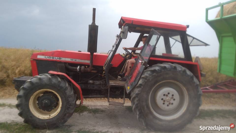 Sprzedam Ursus 1614Turbo szybka skrzynia Sędziszów