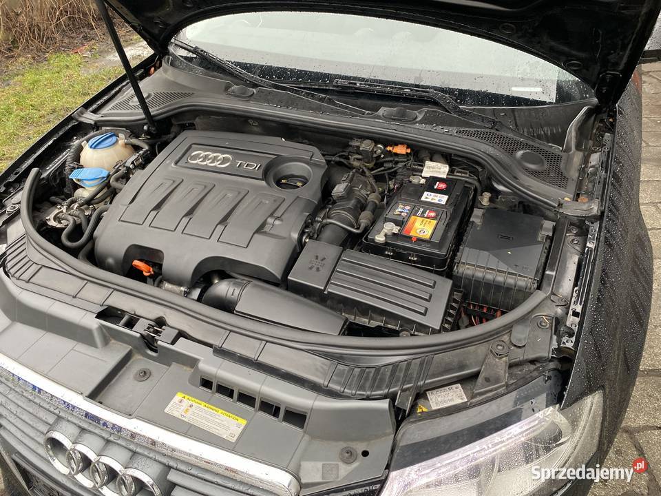 Audi A3 8p 2010 16 194 przebieg Lift Zadbana 4/5 Żywiec