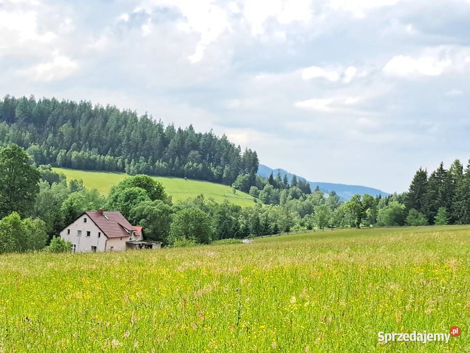 widokowa uzbrojona działka w Górach Sowich