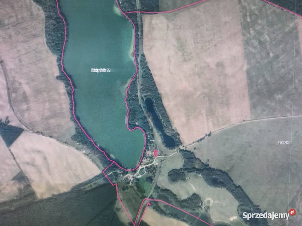 Wynajmę działkę rekreacyjną jeziorem w Brzeziu 20m pomorskie Brzezie