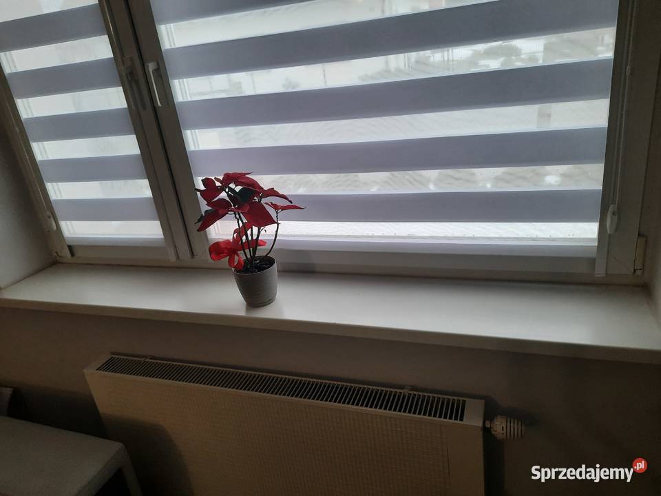 Okna PCV kompletne z roletamiparapetami 119cm Czarna Woda