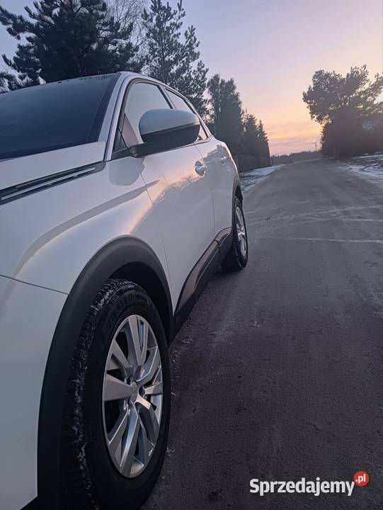 Peugeot 3008 mały przebieg Automat kamera cofania wielkopolskie
