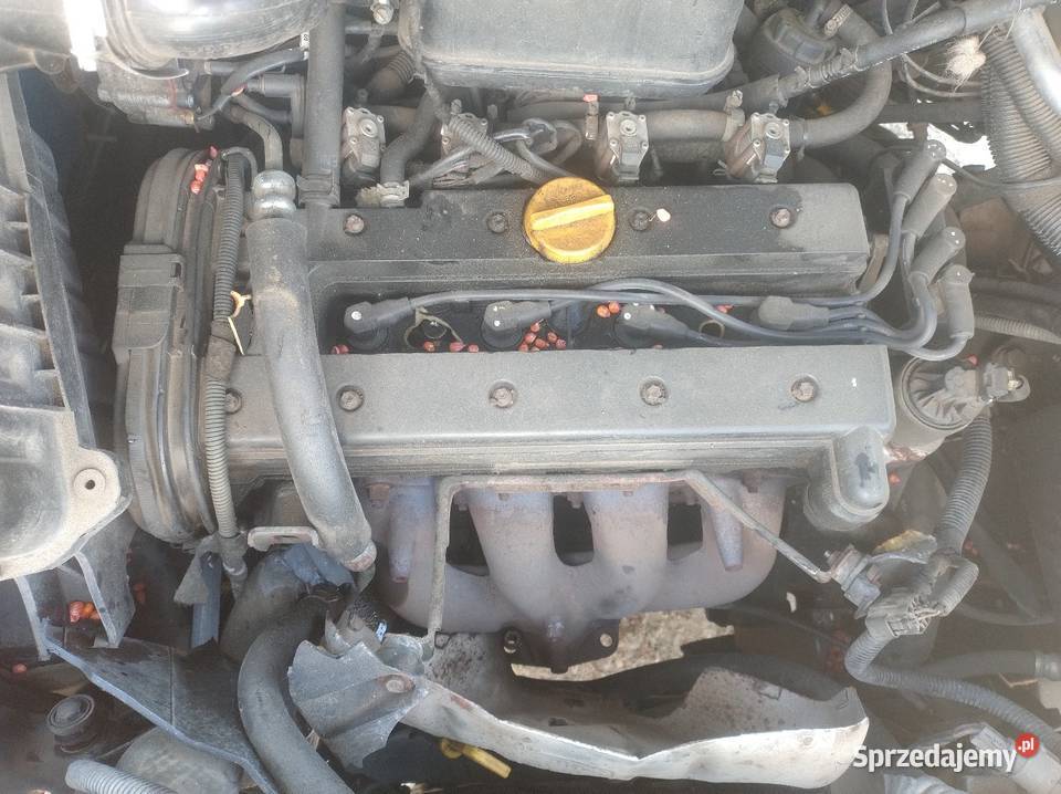 Chevrolet CaptivaOpel Antara 4x4 Lak 47U 24 B warmińsko-mazurskie