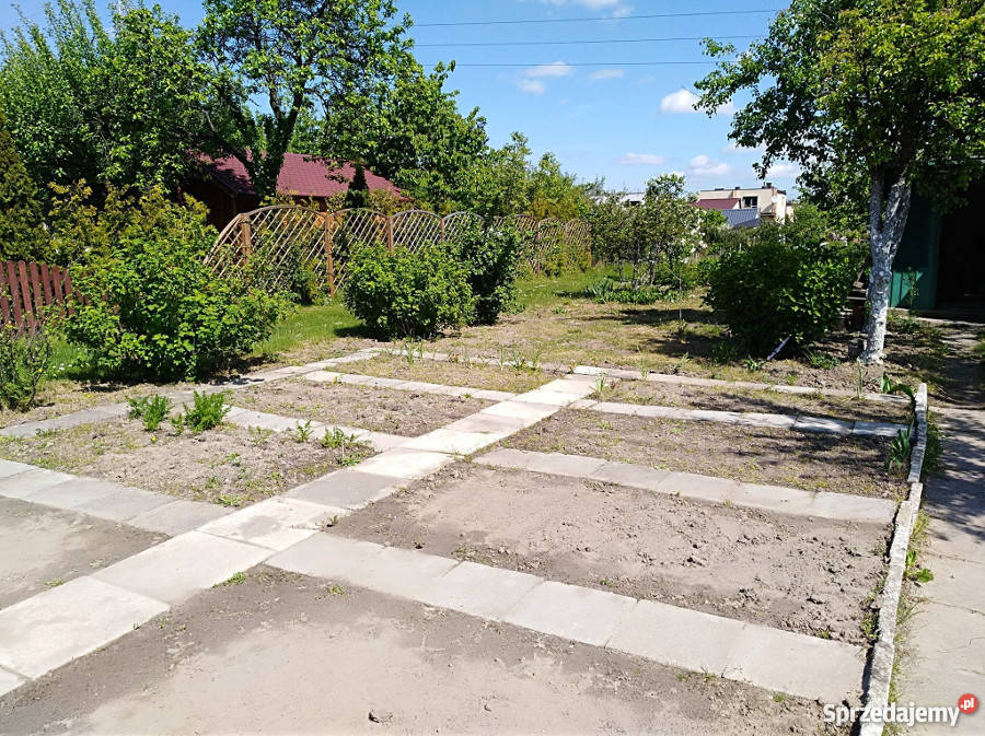 Działka ROD Gorzów Wlkp 340m2 Gorzów Wielkopolski