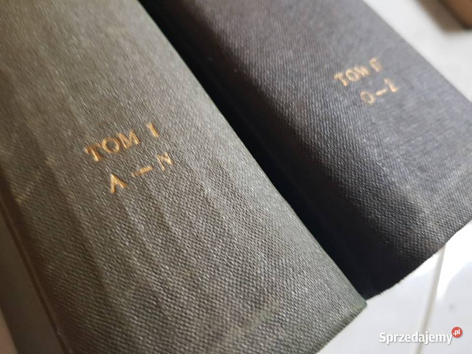 słownik geografii turystycznej 1959 karpaty przewodnik sprzedam