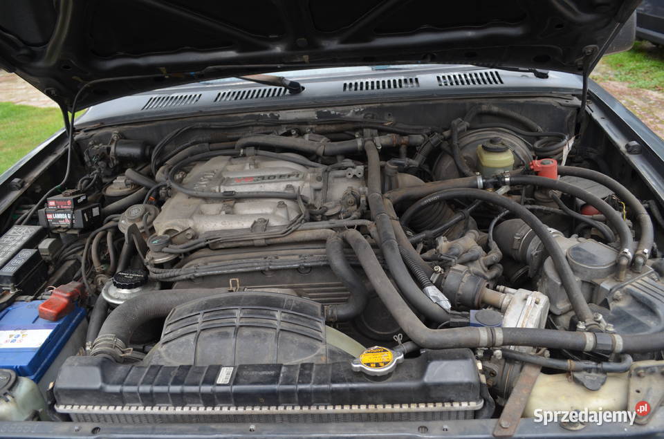 Toyota Runner 4 Hilux Patrol Terrano Pajero 4-Runner Nowa Dęba