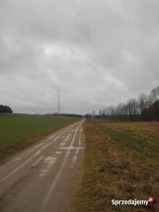 dom z działką pod Mławą Trzcianka-Kolonia