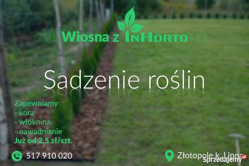 Usługi ogrodnicze trawniki żywopłoty i inne