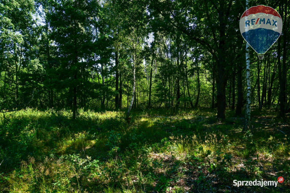 Działka budowlana 1018m2 Grądy k Żyrardowa