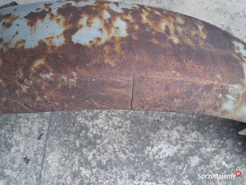 Błotnik wsk sport dudek lelek kos bąk wielkopolskie Lisew