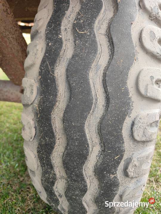 Rama rozrzutnika Tymienica Stara