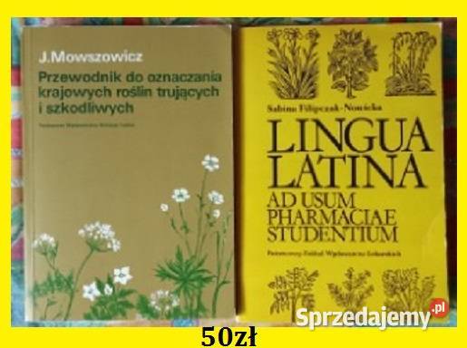 Rośliny lecznicze w ogródku Systematyka roślin Łódź