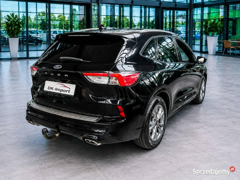 Ford Kuga III 2019 nieuszkodzony Sadlno