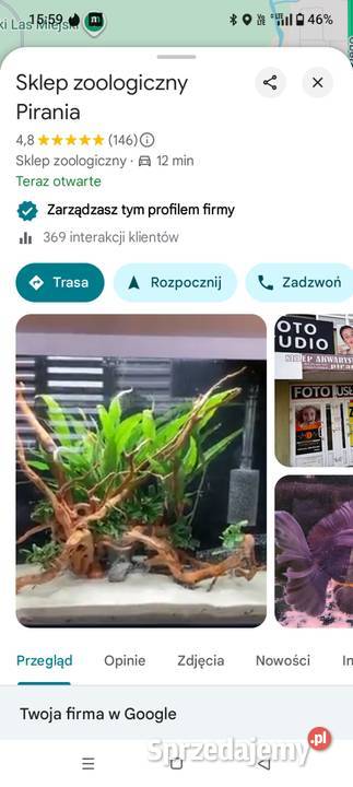 Zółw Grecki przepiękne Olsztyn wysyłka cała warmińsko-mazurskie sprzedam
