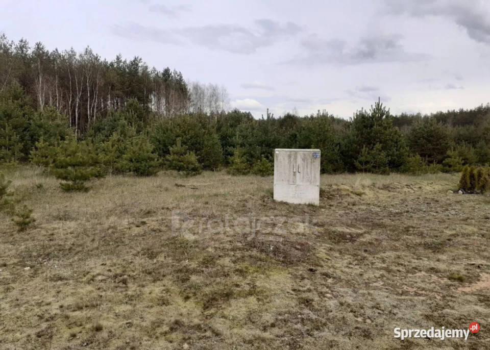 Grunt 42000m2 Przewóz