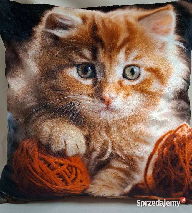 Pluszowy kociak premiium na poduszce sprzedam Nakło nad Notecią