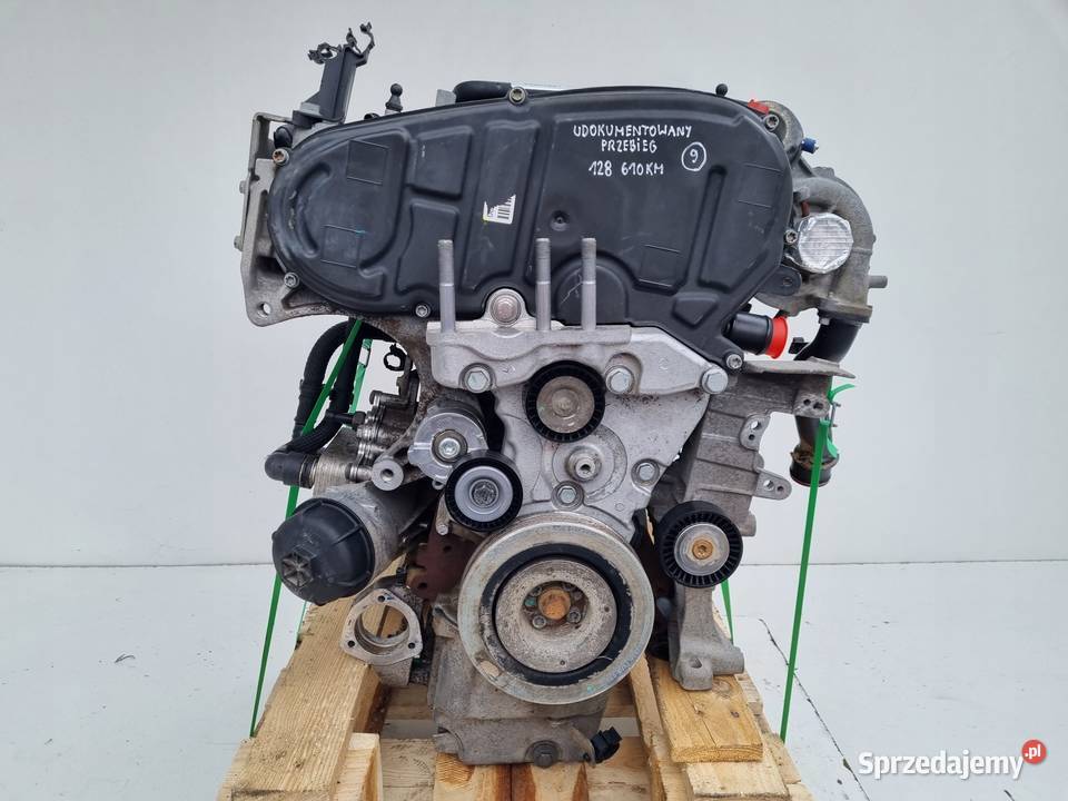 SILNIK KOMPLET Fiat Doblo II 16 JTD MJET Rudka