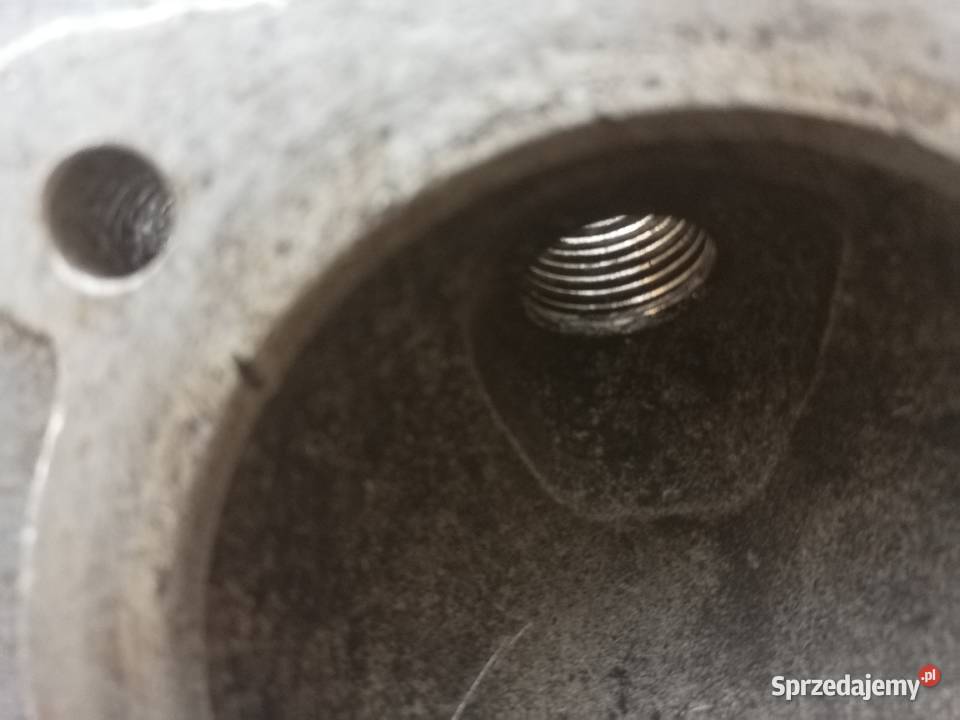 Wfm SHL głowica Dąbie