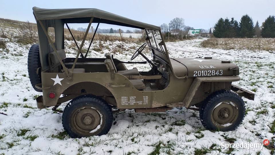 Willys MB Jeep zabytek sprzedam