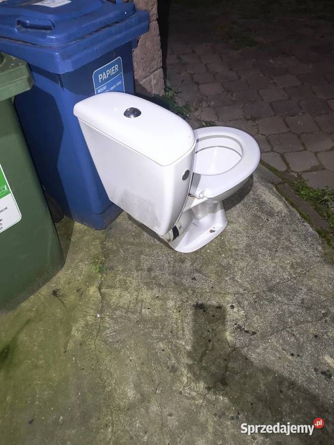 Sedes stan małopolskie Kraków