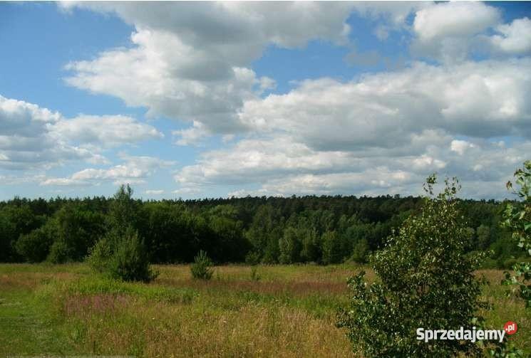 Gardeja działka budowlana26000m2 działki 1200m2 Gardeja