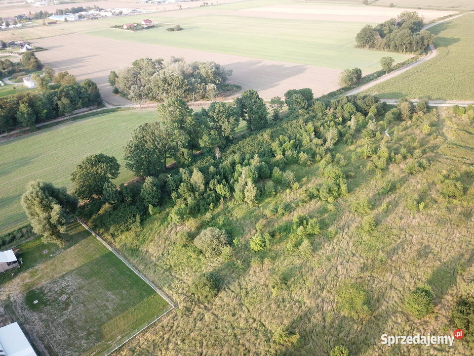 Działka Budowlana 45246 m2 Pod InwestycjęMEDIA dolnośląskie Źródła sprzedam
