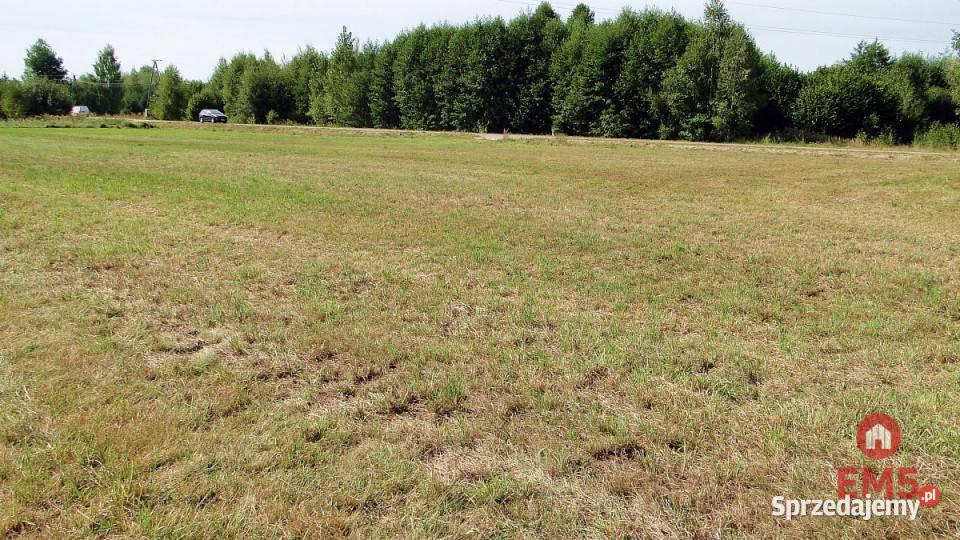 sprzedaży gruntu 1500m2 Hołówki Duże asfalt