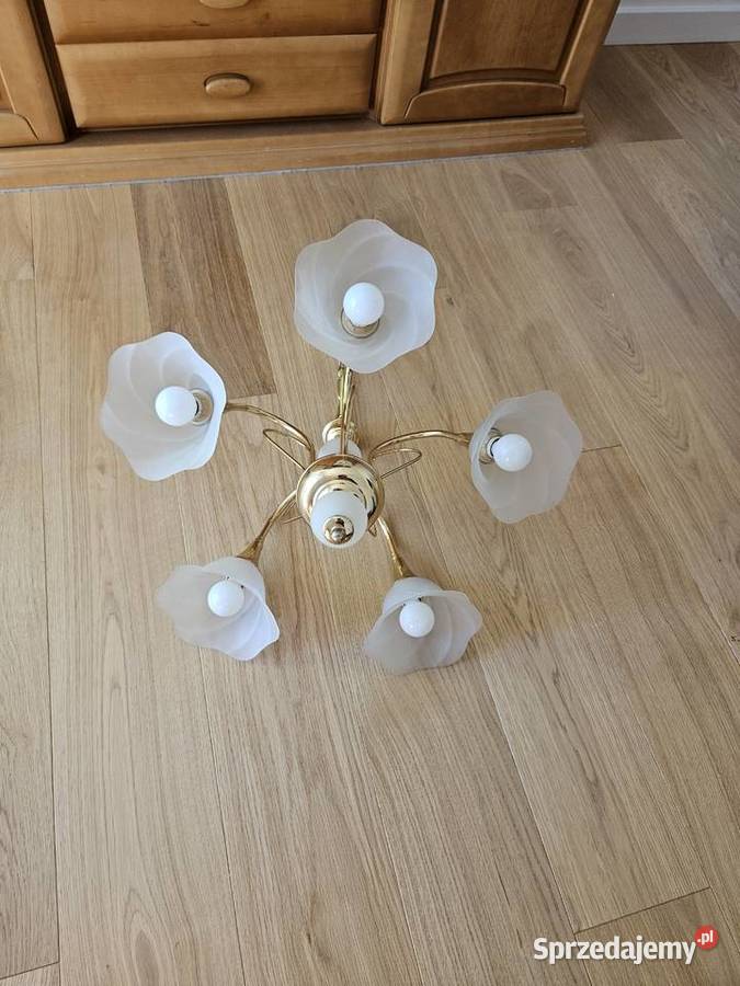 Sprzedam żyrandol Koszalin