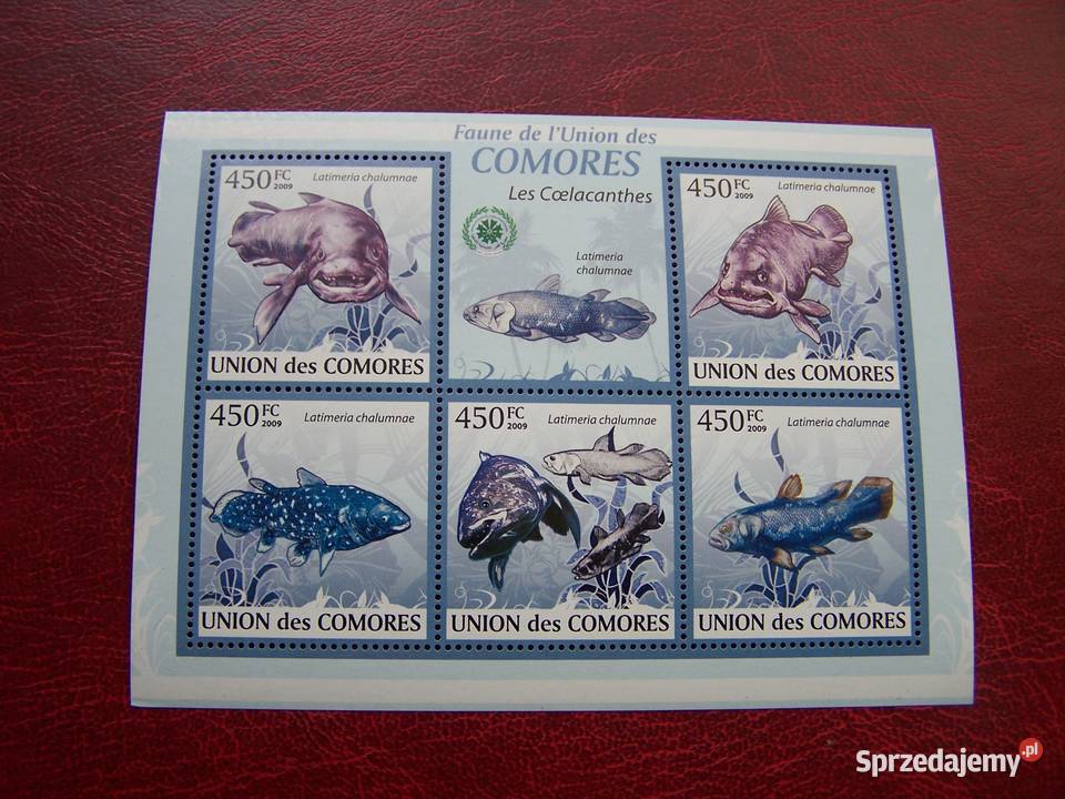 Komory 2009 MNH Fauna Ryby Latimeria Tychy sprzedam