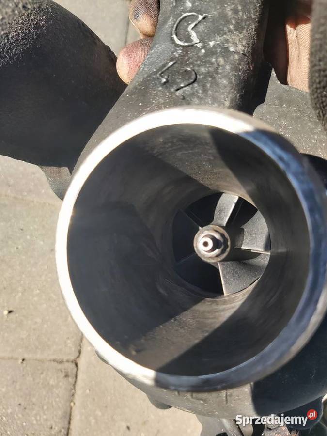 sprzedam pozostałości Winnica