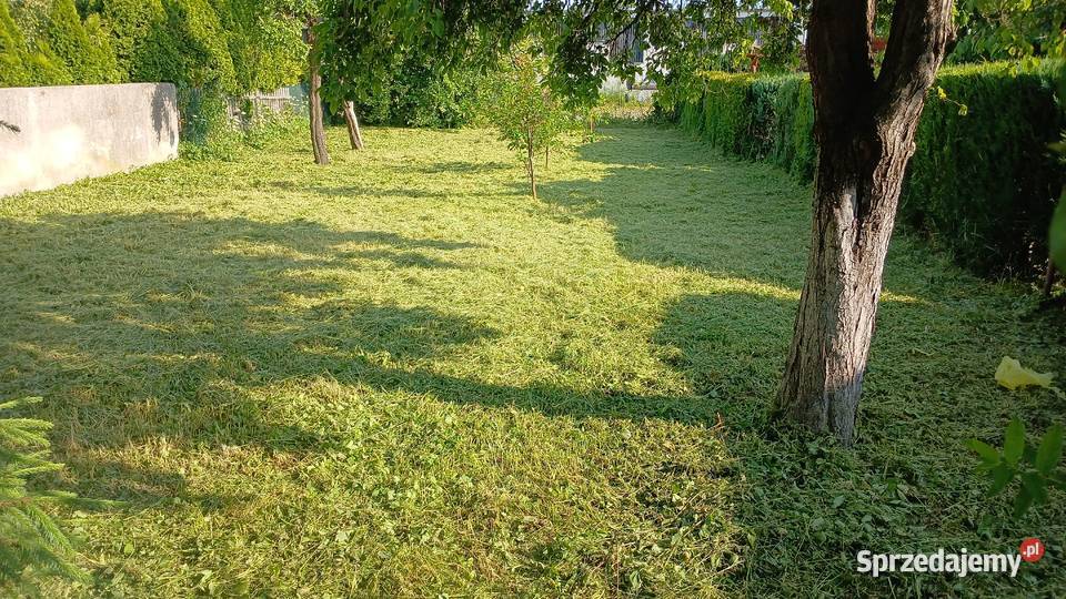 Usługi Ogrodnicze Koszenie czyszczenie działek kujawsko-pomorskie Złotowo