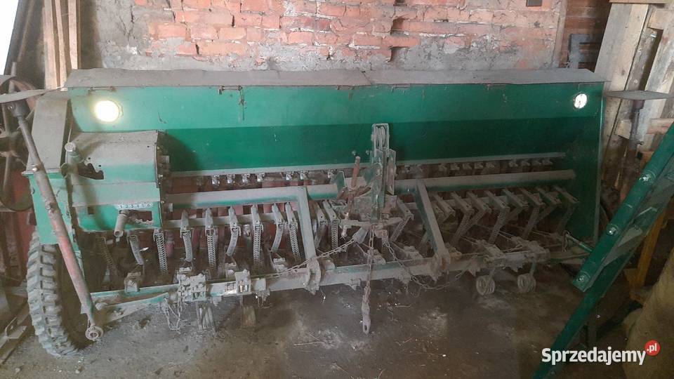 Siewnik poznaniak Miechowice Oławskie