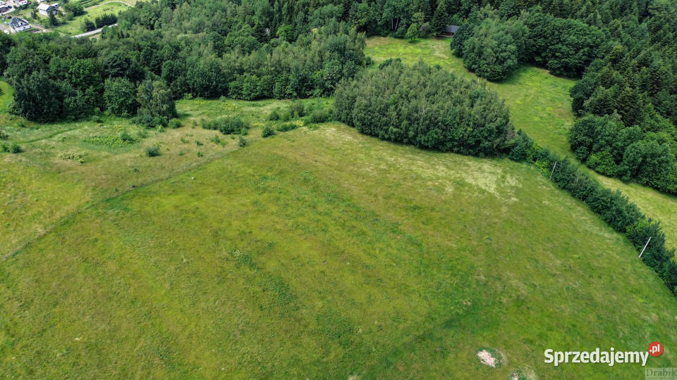 Grunt sprzedam 6500m2 Zegartowice Zegartowice prąd sprzedam