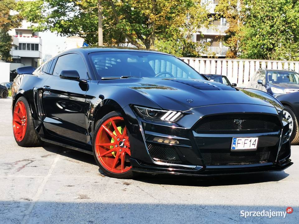 V8 50L Manual Dokumentacja pochodzeniowa Bogate Warszawa